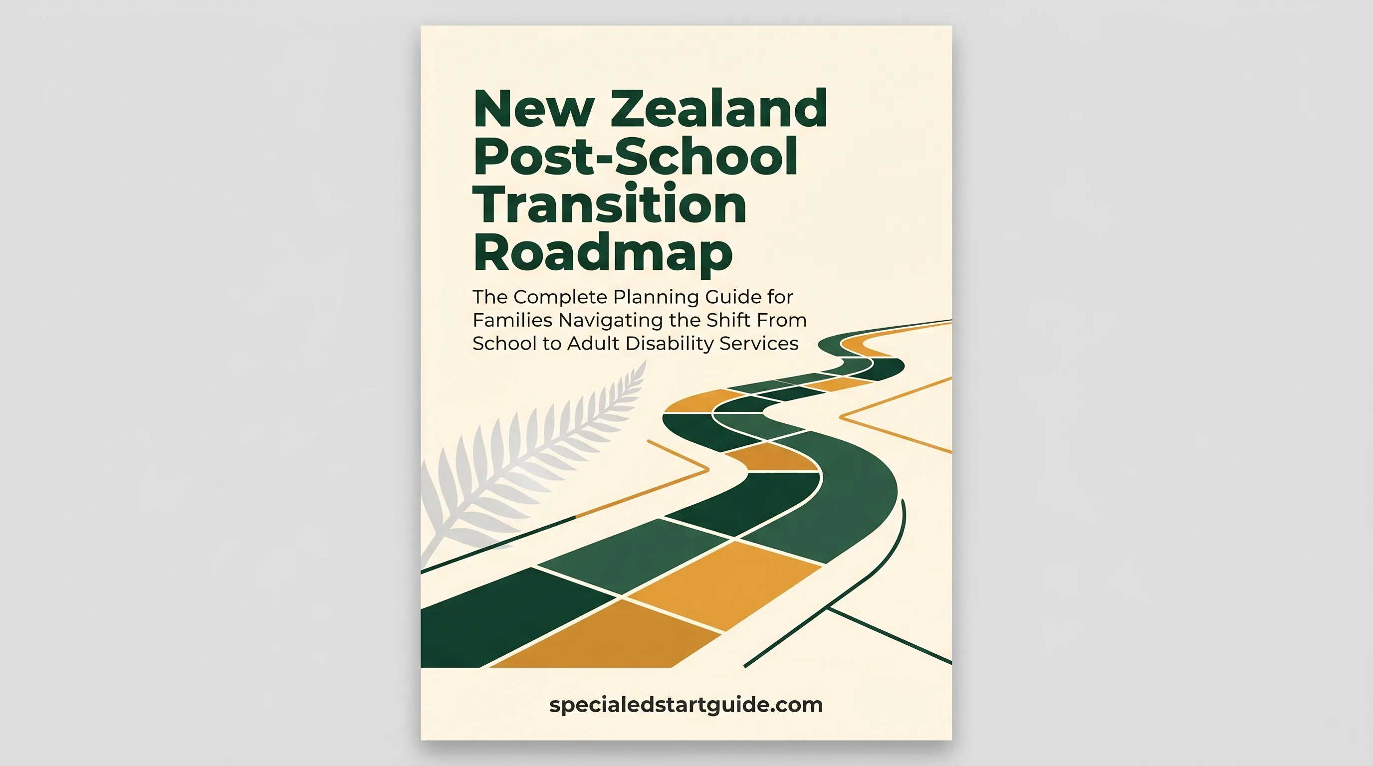 Enabling Guide Enabling Good Lives NZ: What It Means for Disabled People and Their ...